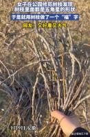 笑掉大牙！民进党搞“法理台独”仅存活2天，最终败给了“一瓶修正液”