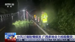 郭涵煜组合获得温网女双冠军 首夺大满贯