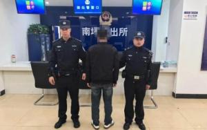 日本2025年熊袭人伤亡创新高 市区袭击频发引担忧