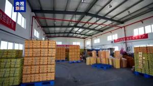 安徽“机器人交警”实习上岗 智警R001正式亮相