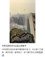 中俄就国际地区热点问题交换意见 共促多边主义