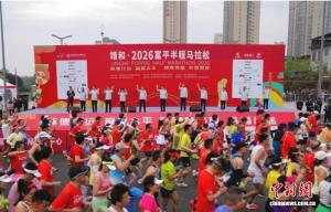 莫氏鸡煲要卖汤底药包了 同款汤料网上热销