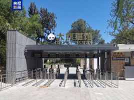 攀爬嬉水设施齐备 萌兰等5只“国宝”入住新居