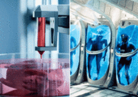 富豪强行续命：把大脑塞进无脑克隆体，硅谷的永