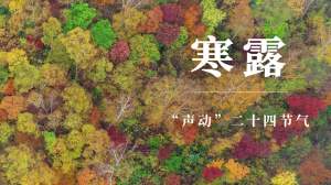 乒协赛场禁入名单：坚决抵制极端球迷行为