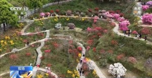 民生一件事 | “小”食堂折射“大”民生