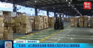 品类更多、品牌更强！国货出海有新变化
