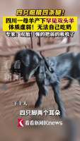 为何老外疯狂为中国技术溢价买单 越封锁越强的铁律