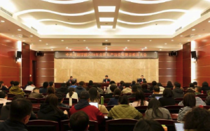 女子扮孕妇绑藏16包白银入境被查：体态存在明显异常